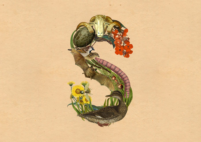 創(chuàng)意綠色自然生態(tài)字母設(shè)計(jì)
